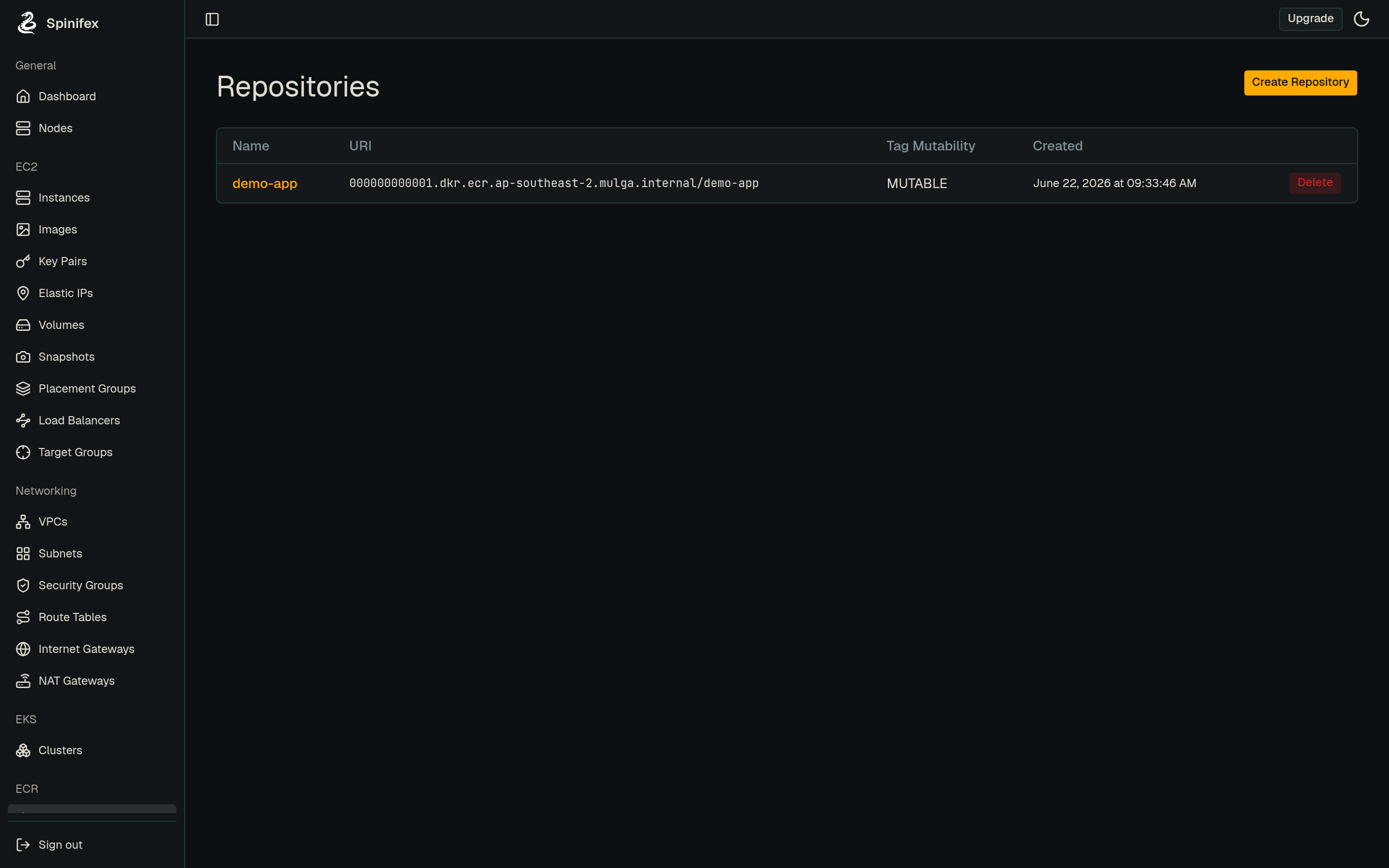The ECR Repositories list in the Spinifex console, showing a repository with its registry URI, tag mutability, and creation date