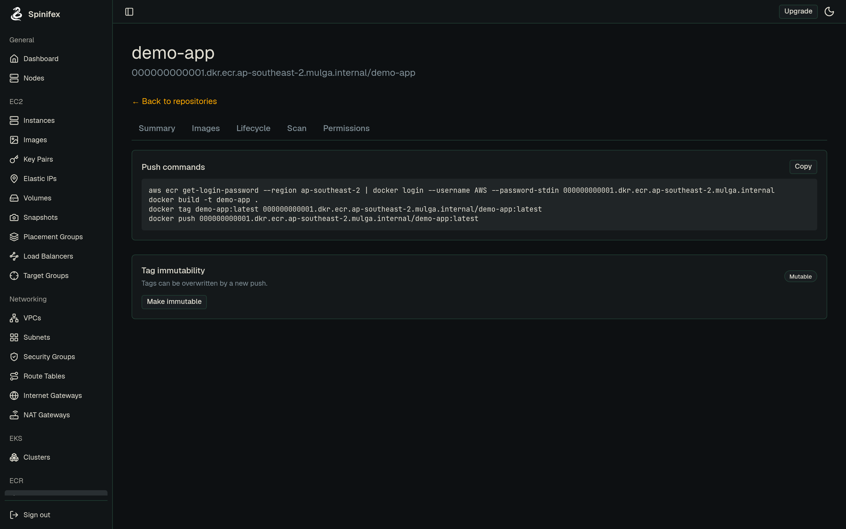 A repository detail page in the Spinifex console, with the Push commands panel showing the docker login, build, tag, and push commands